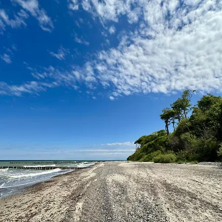 Valerie * 오스치바드 닌하겐